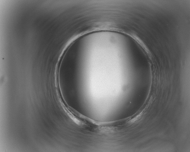 X0000060551246200511101529