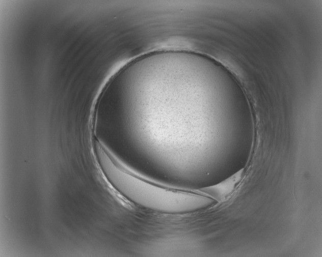 X0000060551248200511101529