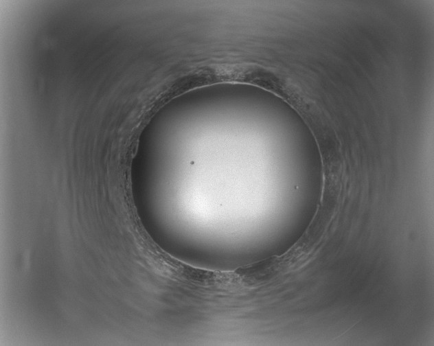 X0000060551249200511101528