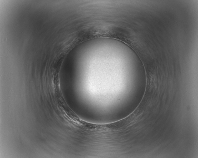 X0000060551250200511101528