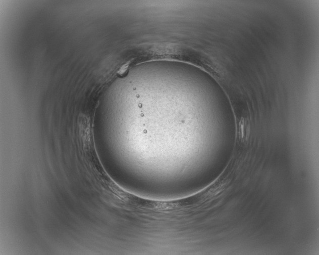 X0000060551251200511101528