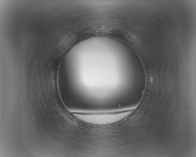 X0000060551252200511101528