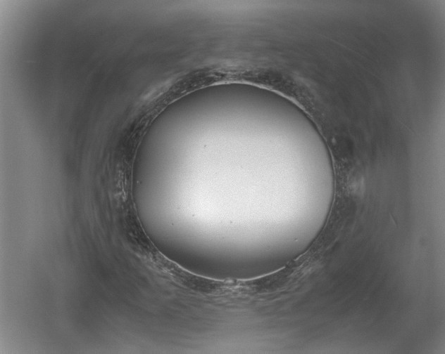 X0000060551253200511101528