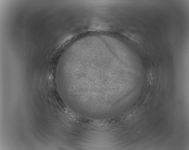 X0000060551254200511101528