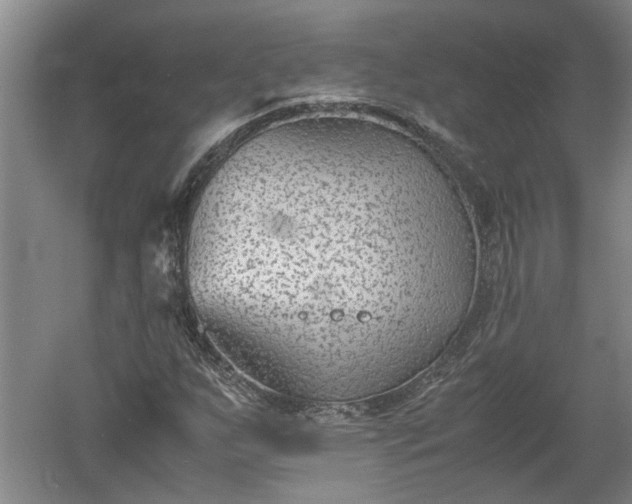 X0000060551255200511101528