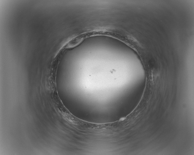 X0000060551256200511101528