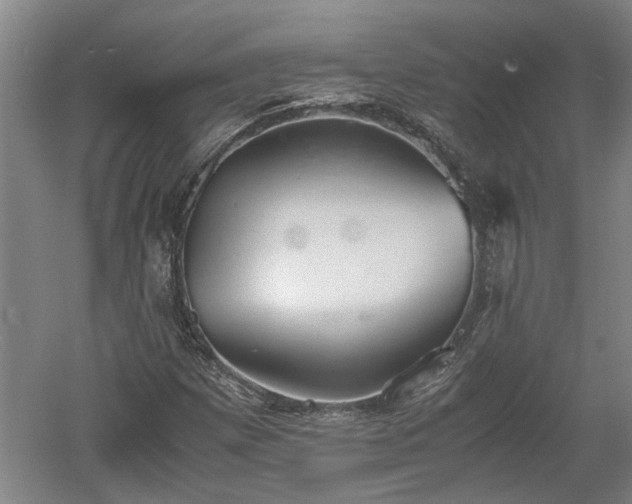 X0000060551257200511101528