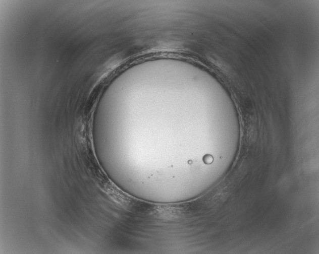 X0000060551258200511101528