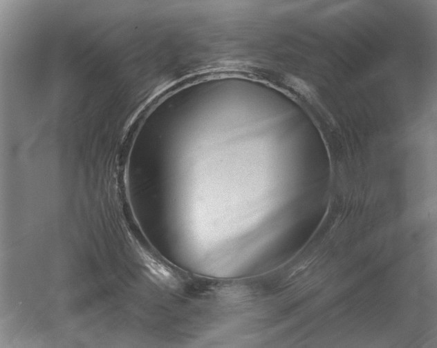 X0000060551260200511101528