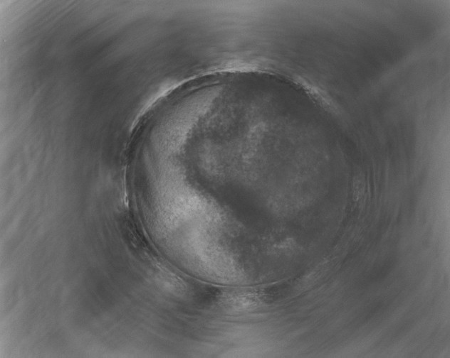 X0000060551262200511101528