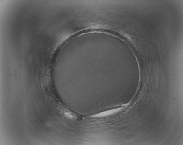 X0000060551263200511101528