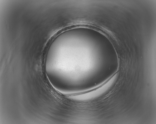 X0000060551264200511101528