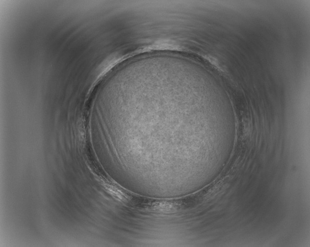 X0000060551266200511101528