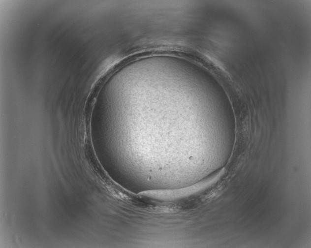 X0000060551267200511101528