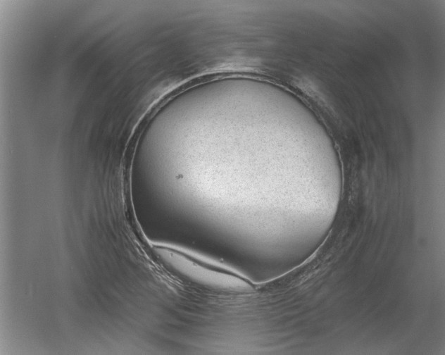 X0000060551268200511101528