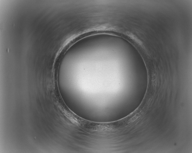 X0000060551270200511101528