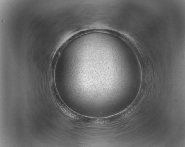 X0000060551271200511101528