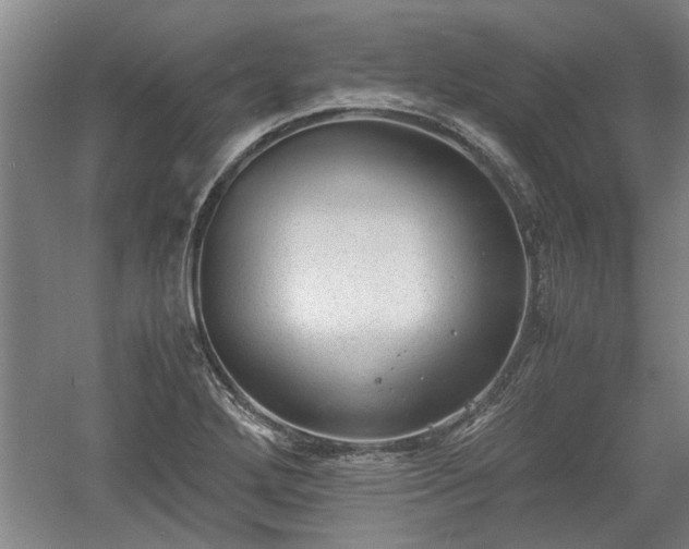 X0000060551272200511101528