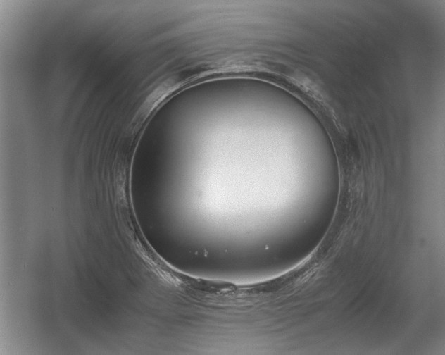 X0000060551273200511101528