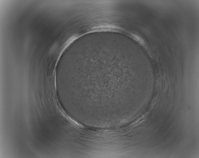 X0000060551275200511101528