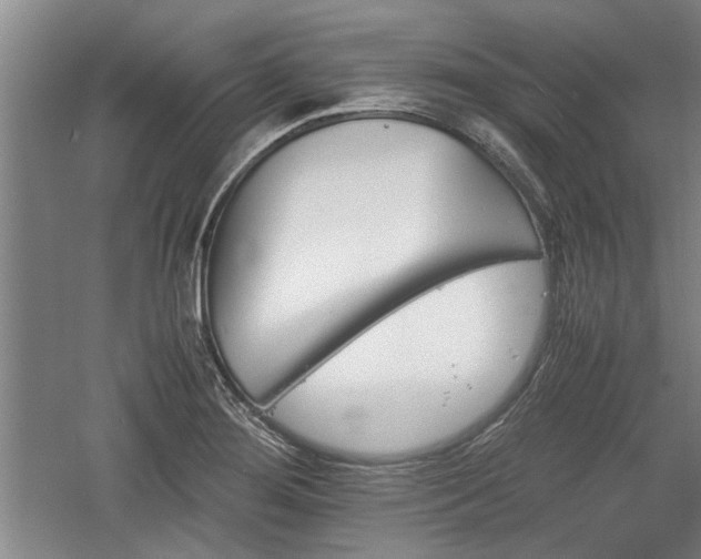 X0000060551276200511101528