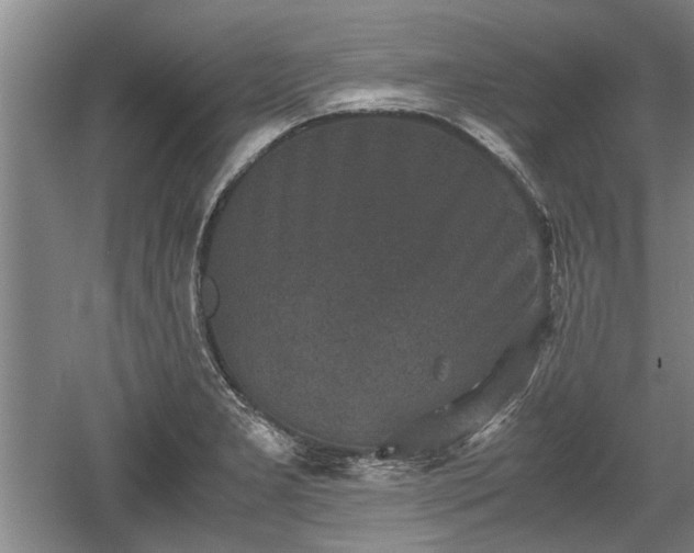 X0000060551277200511101528