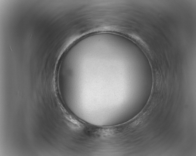 X0000060551278200511101528