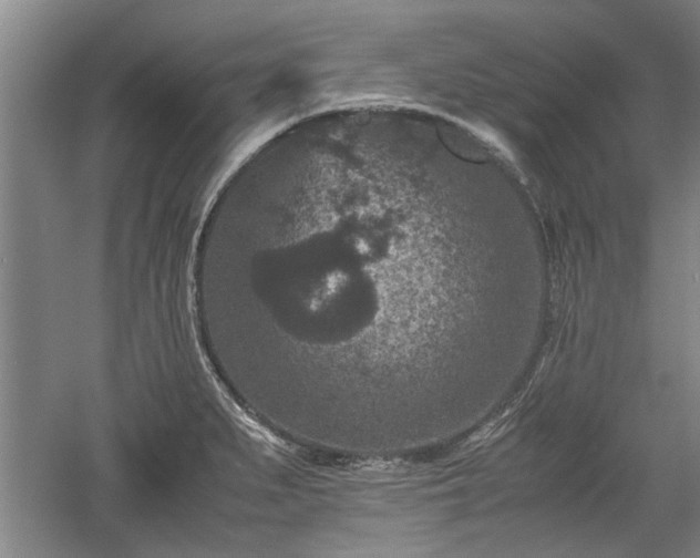 X0000060551279200511101528