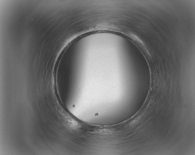 X0000060551280200511101528