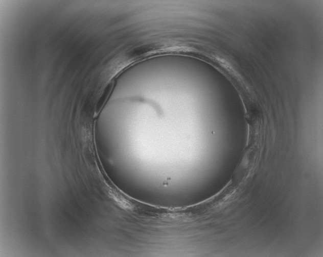 X0000060551281200511101528