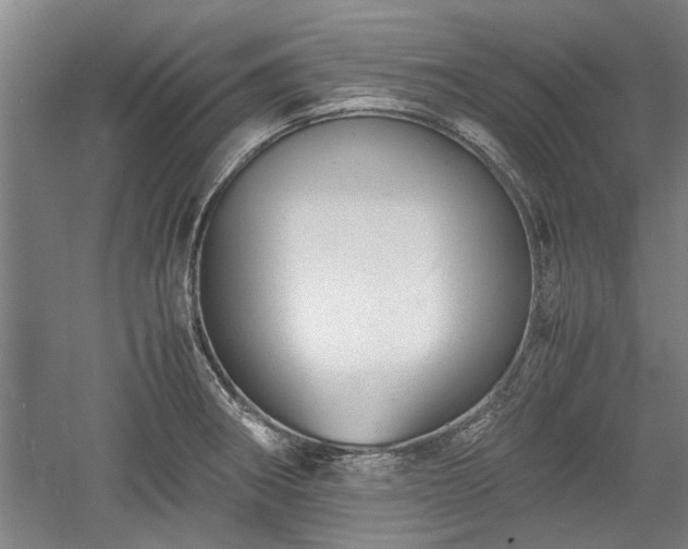 X0000060551282200511101528