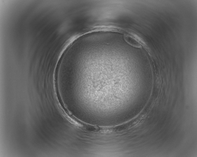 X0000060551283200511101528