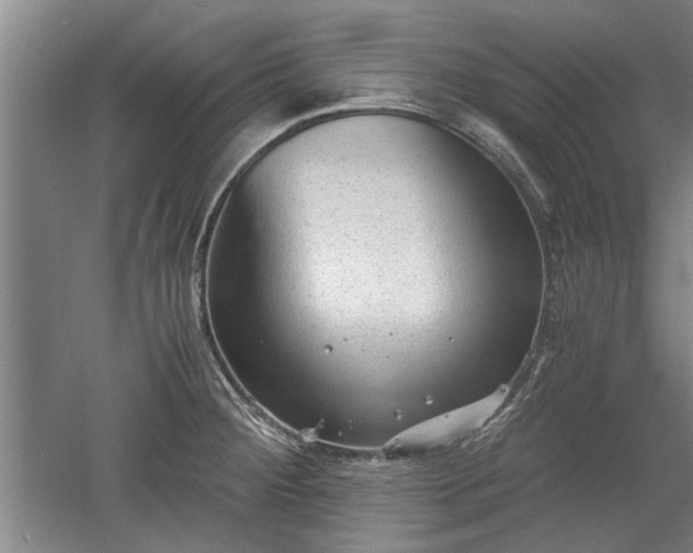 X0000060551284200511101528