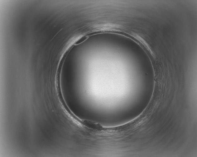 X0000060551285200511101528