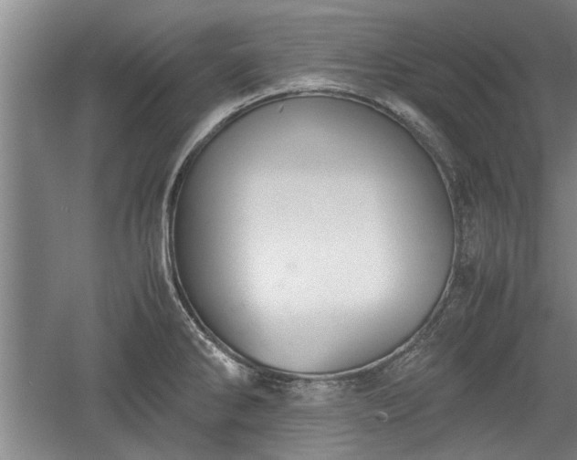 X0000060551286200511101527