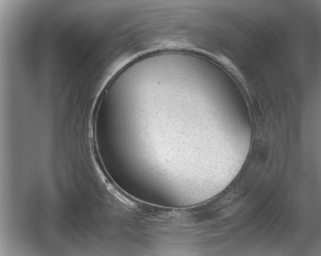 X0000060551287200511101527