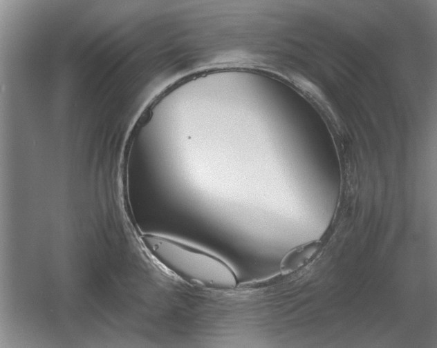 X0000060551288200511101527