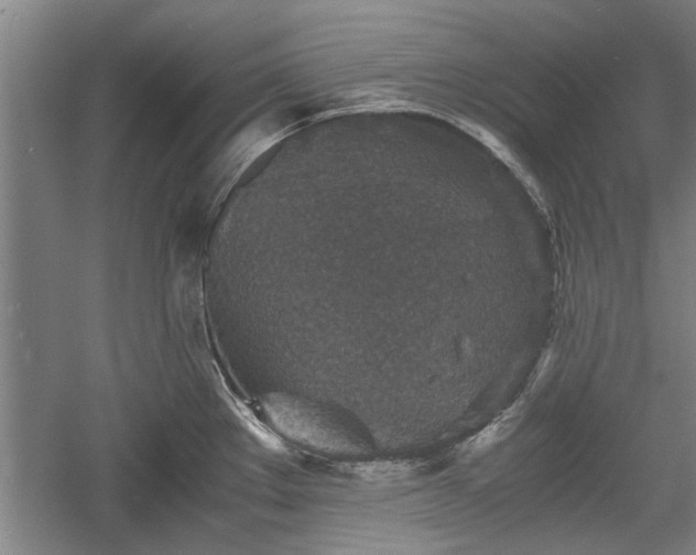 X0000060551289200511101527