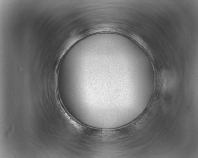 X0000060551290200511101527