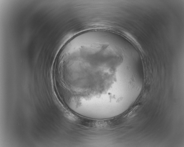 X0000060551291200511101527