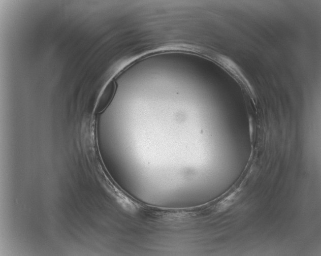 X0000060551292200511101527