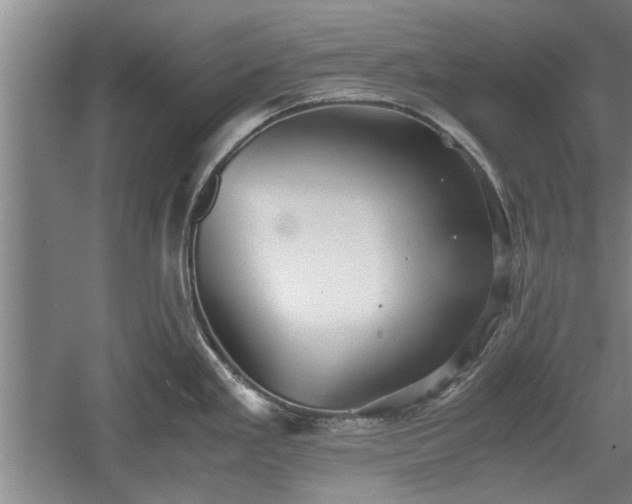 X0000060551293200511101527