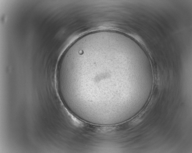 X0000060551294200511101527