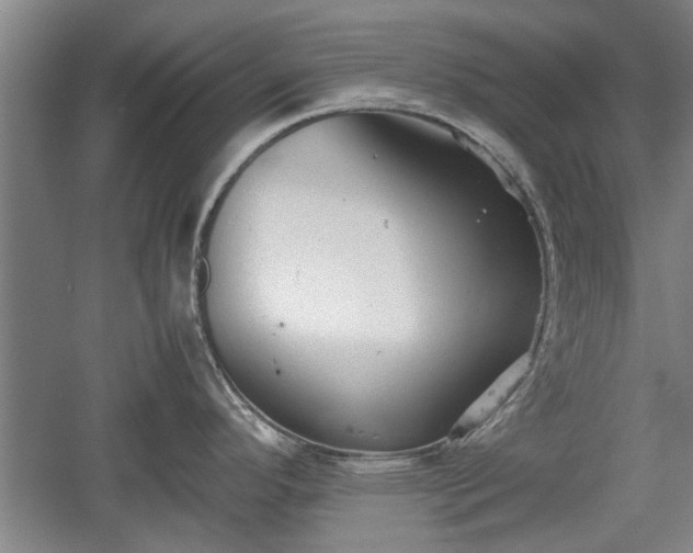 X0000060551296200511101527