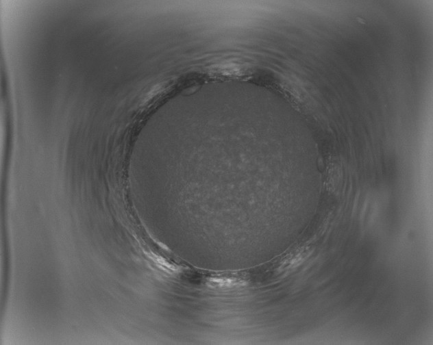 X0000060551297200511101527