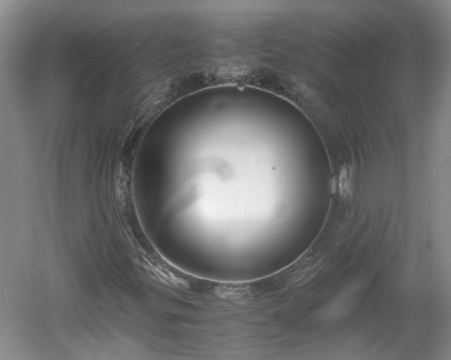 X0000060551299200511101527