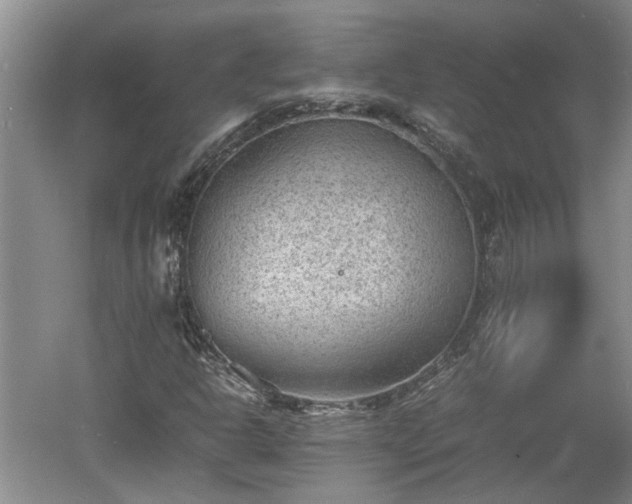 X0000060551302200511101527