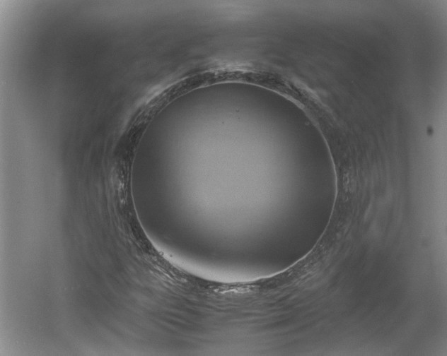 X0000060551303200511101527