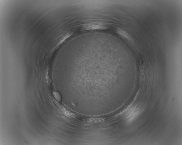 X0000060551305200511101527