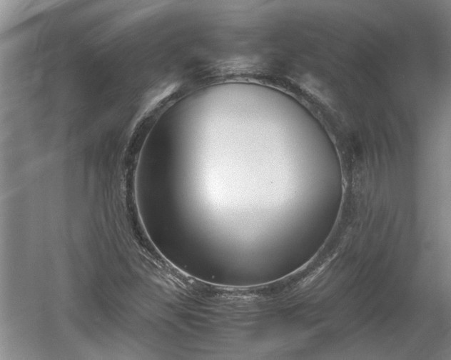 X0000060551309200511101527